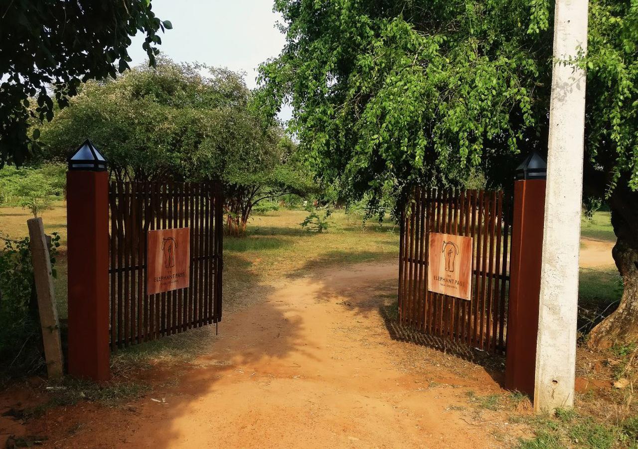 The Elephant Pass - Yala Tissamaharama Exterior photo