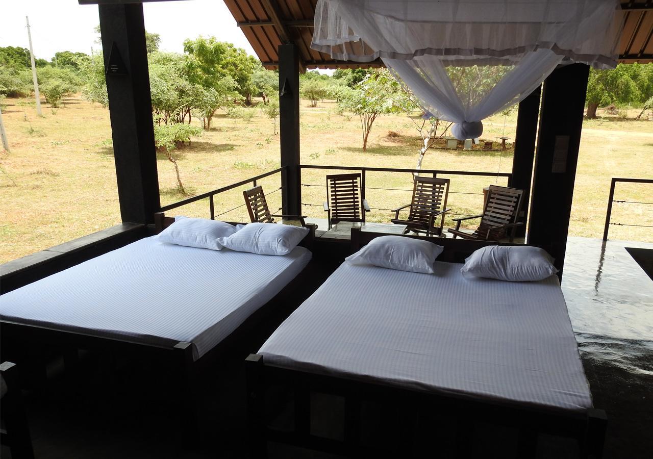 The Elephant Pass - Yala Tissamaharama Exterior photo